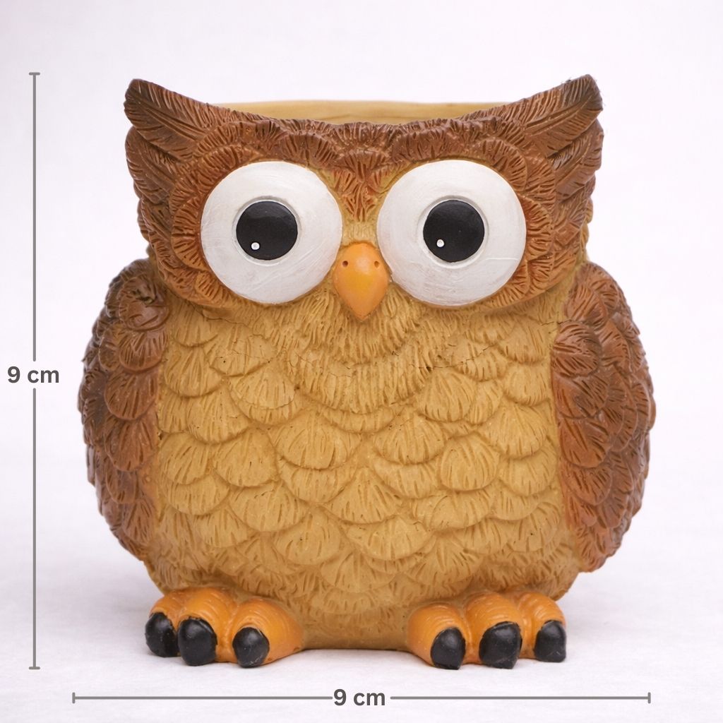 Owl-shaped container with measurements on a white background