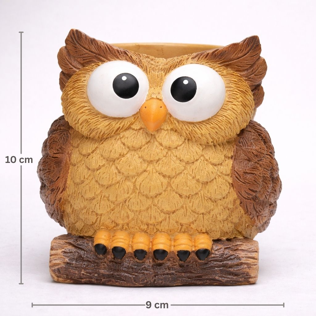 Owl-shaped planter with measurements on a white background